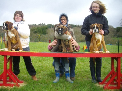 de la cité des Leuques - baby show à bruyères dans les vosges