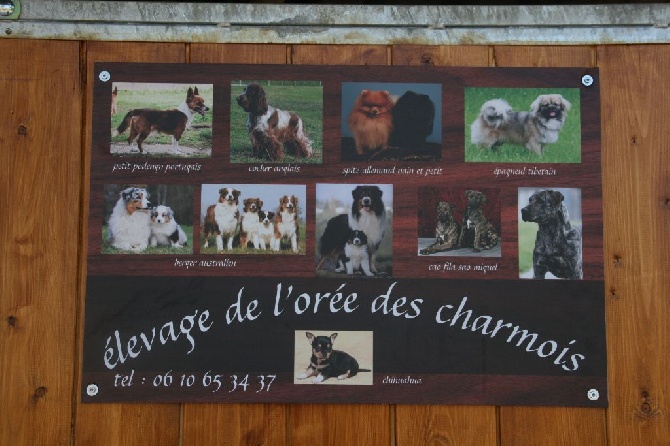 de l'Orée des charmois - portes ouvertes week end du 15 Août