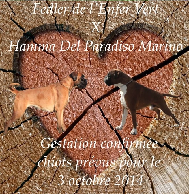 de L'Enfer Vert -  Mariage Fedler de l'EV x Hamma Del Paradiso Marino