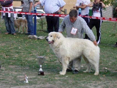 de la vallée de la livenne - nationale d'élevage espagnole 2009.