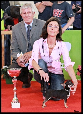 des Mini Pouces - BOB BOG BIS Meilleur chiot de l'expo 