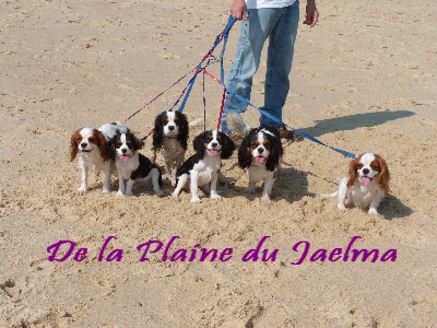 de la plaine du Jaelma - A la plage !