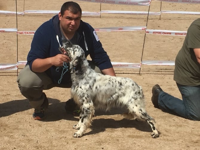 de la forêt du Melu - EXPO CACIB