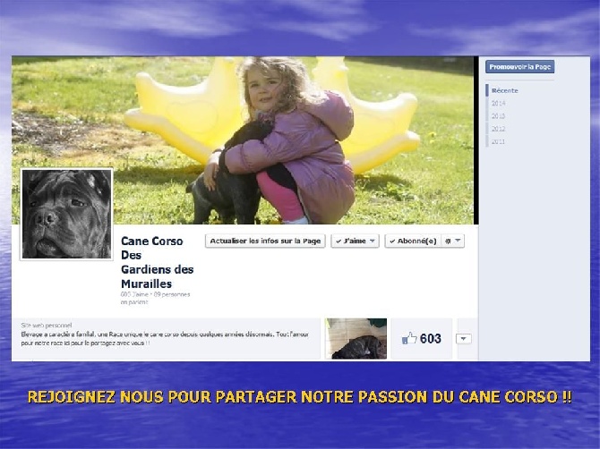 des Gardiens des Murailles - PAGE FACEBOOK 