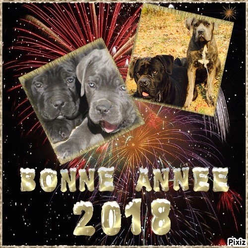 des Gardiens des Murailles - Bonne année 2018