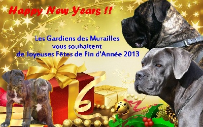 des Gardiens des Murailles - BONNE FETES DE FIN D ANNEE