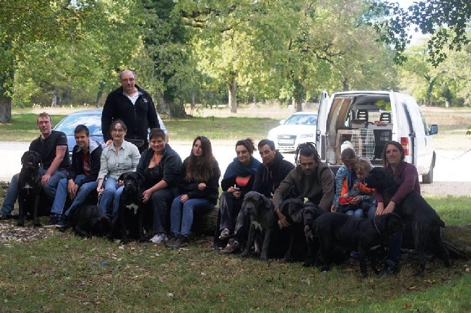 des Gardiens des Murailles - Ballade de Cane Corso