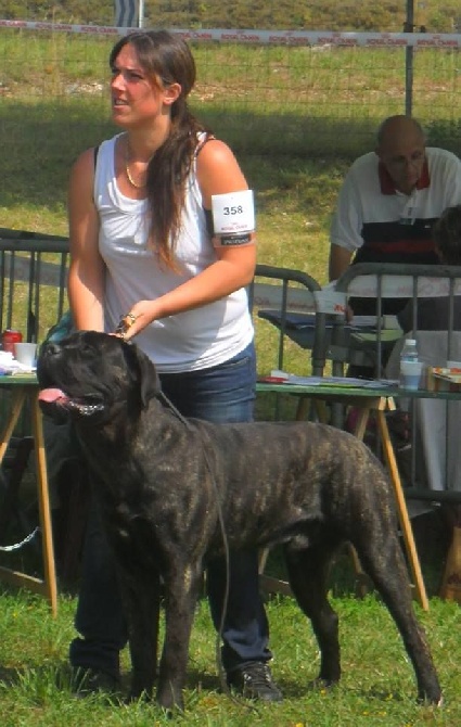 des Gardiens des Murailles - SPECIALE DE RACE CAHORS CACIB