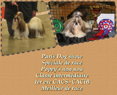 Paris dog show 