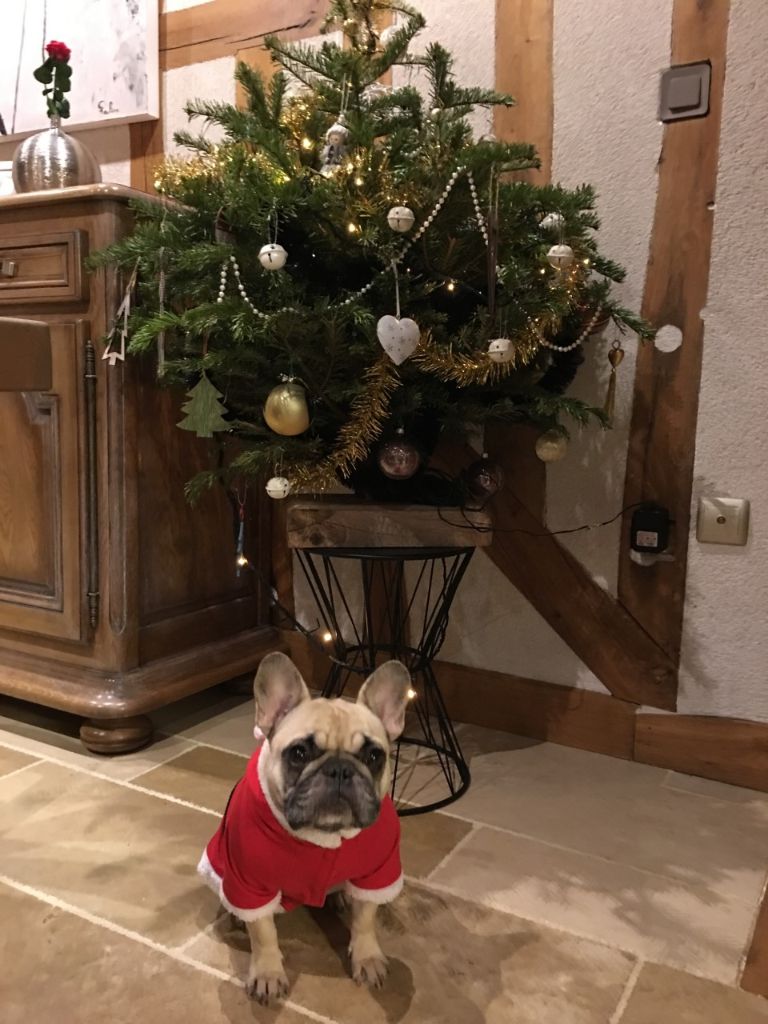 de l'écume des cimes blanches - JOYEUX NOEL O'LILY !!!