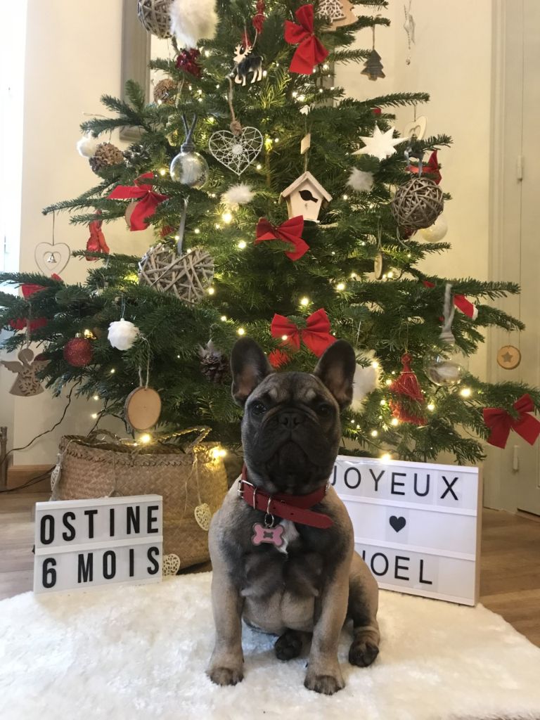 de l'écume des cimes blanches - Nouvelle de la petite OSTINE !!