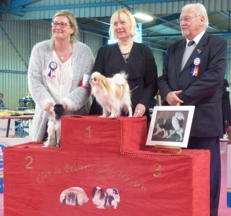 du royaume de la bichonnerie - Marina devient championne de France