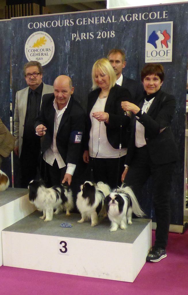 du royaume de la bichonnerie - 3eme meilleur lot d'élevage au salon de l'agriculture