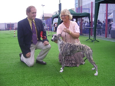 de l'orlyne de Standerling - Best angel Jeune champion de Gibraltar !!!