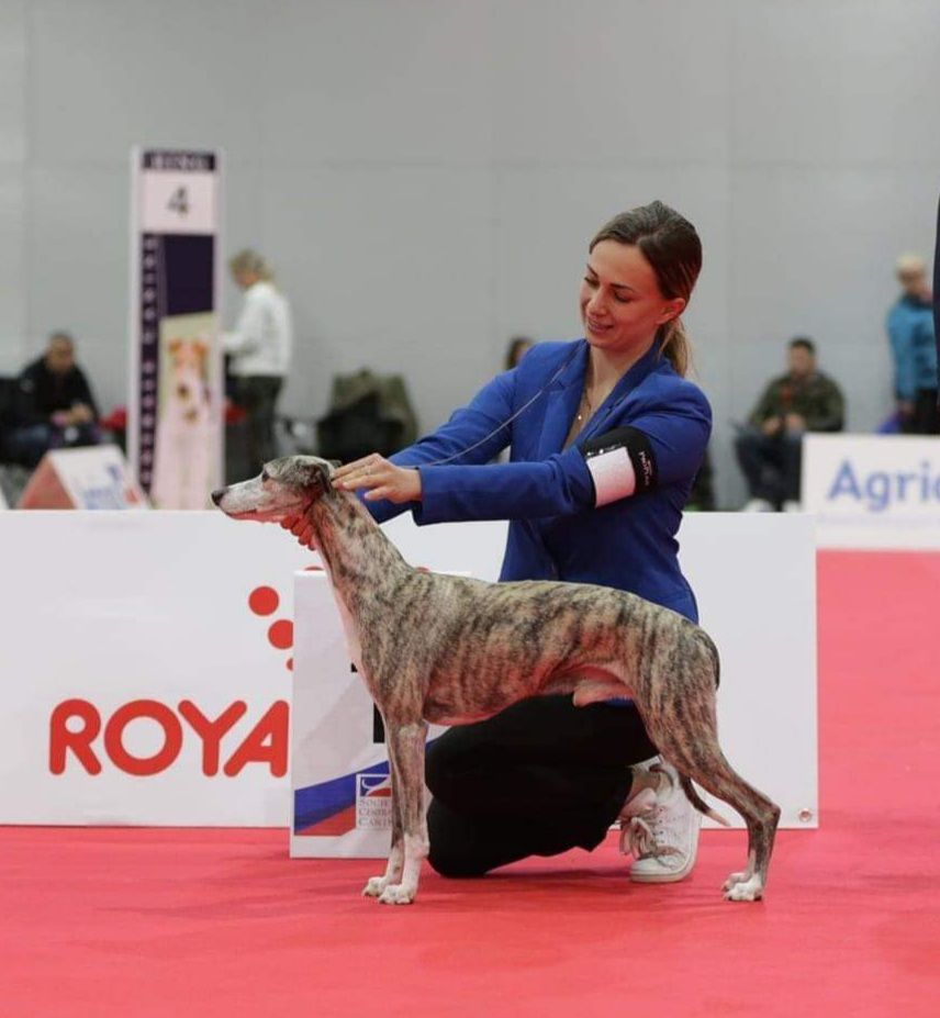 de l'orlyne de Standerling - Championnat de France 2022 