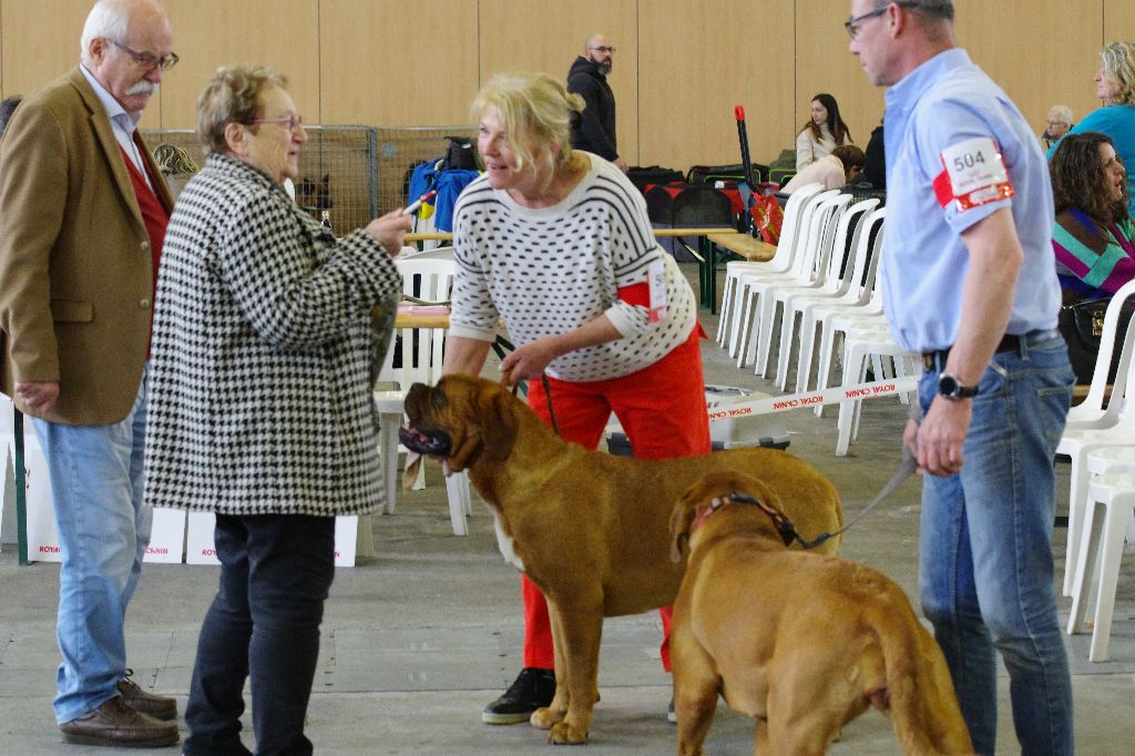 du domaine des Rouvres - SERAPHINE 1ère EXCELLENTE CAC-RCACIB à LYON 