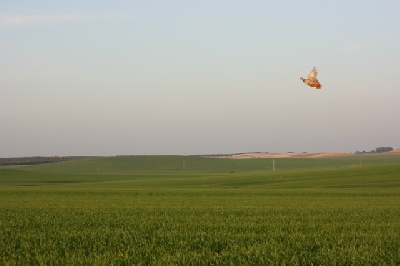 des grandes rafales - Andalousie, 1ere étape ...