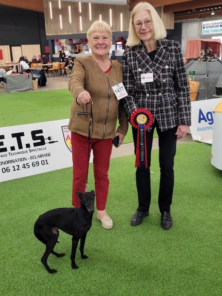 des tendres calins - Double exposition canine de Perpignan