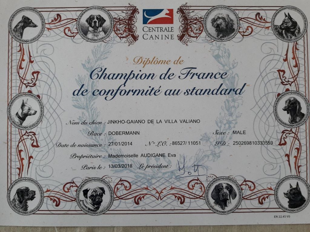 Jinkho est Champion de France