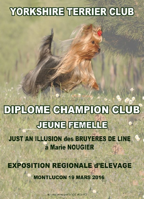 des Bruyères de Line - CHAMPIONNE CLUB