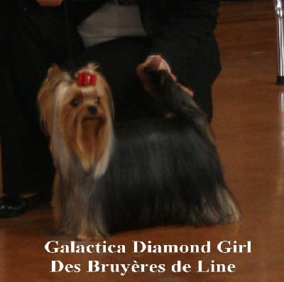 des Bruyères de Line - CASTRES GALA