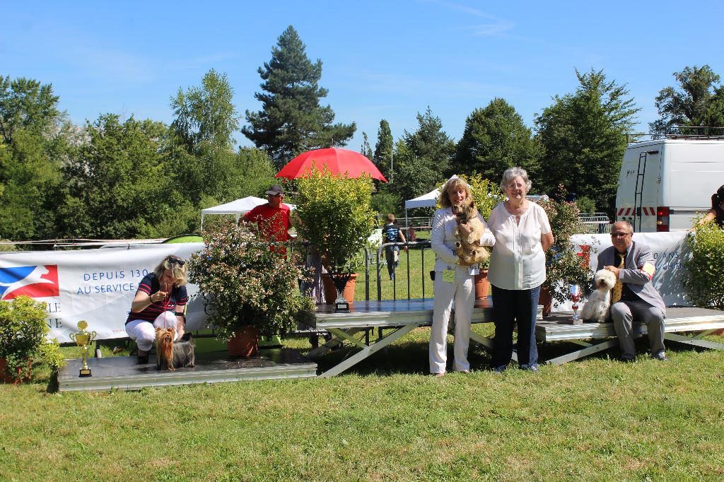 des Bruyères de Line - AURILLAC ILLUSION