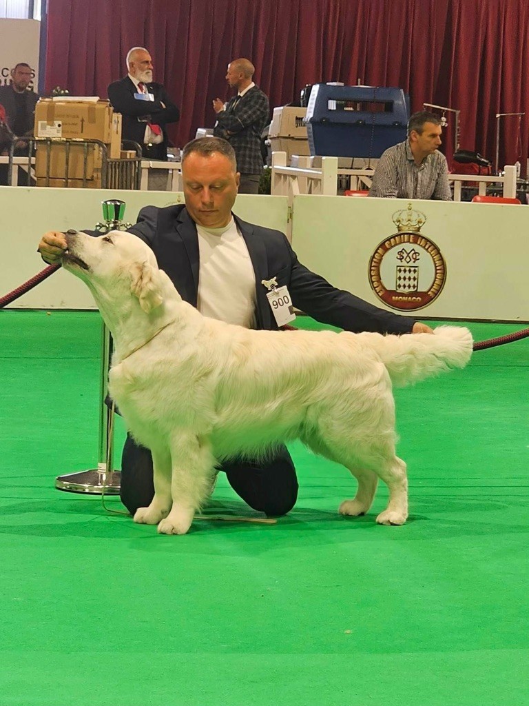 De l'Oro in Bocca - Lucky et Gioia champions de San Marin