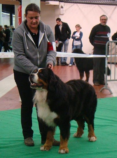 du royaume des reves - expo Angers