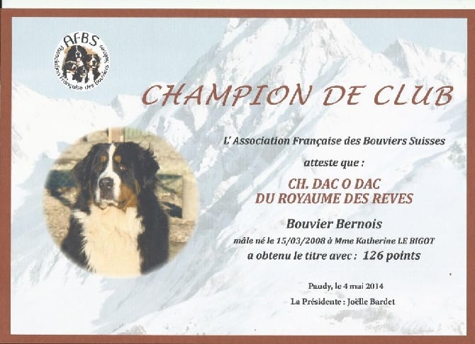 du royaume des reves - Dac o Dac devient champion