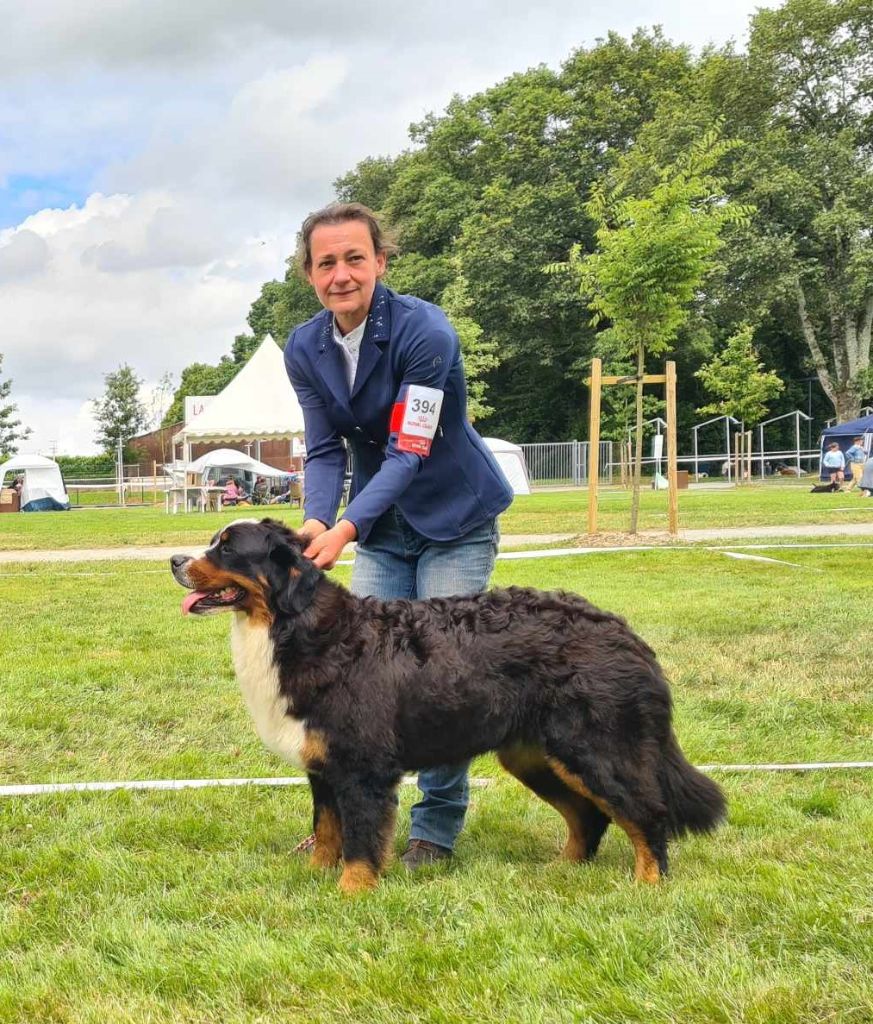 du royaume des reves - expo de chateaubriant le dimanche 7 juillet 2024