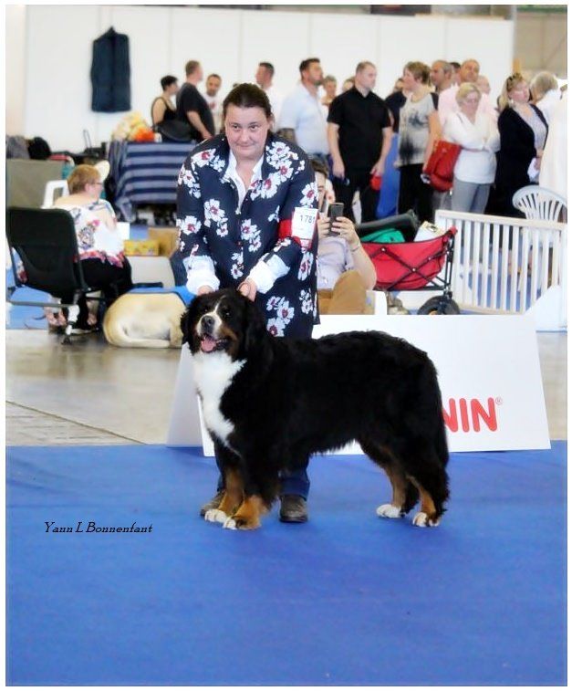 du royaume des reves - Championnat de France 2019