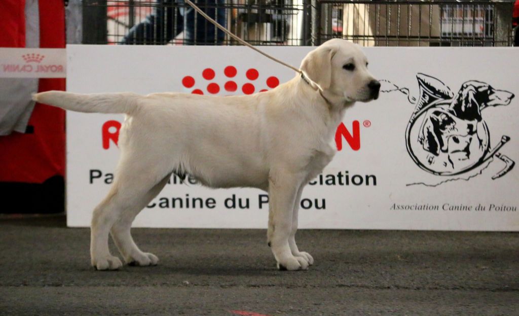 Expo de Poitiers