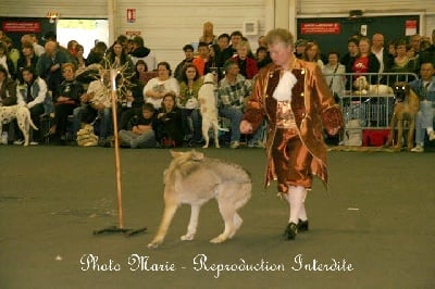 ET EN PLUS ELLE DANSE !!!!