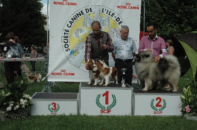 de la Dynastie d'Orkhan - Résultats spéciale Cavalier King Charles l'Isle Adam