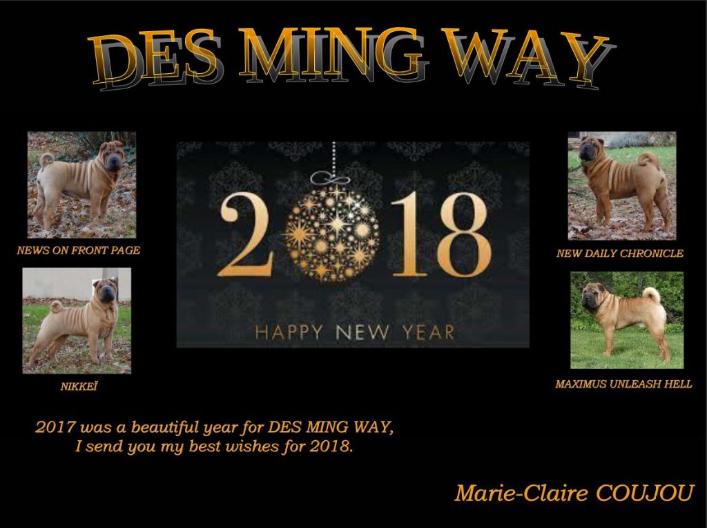 des Ming Way - Meilleurs voeux 2018