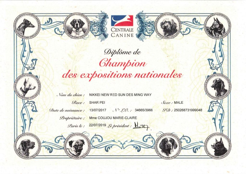 des Ming Way - Nikkeï champion des expositions nationales