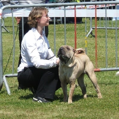 des Ming Way - SENLIS 2009 CACS CHAMADE DES MING WAY