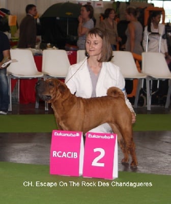 des Ming Way - ESCAPE RCAC RCACIB WDS PARIS 2011