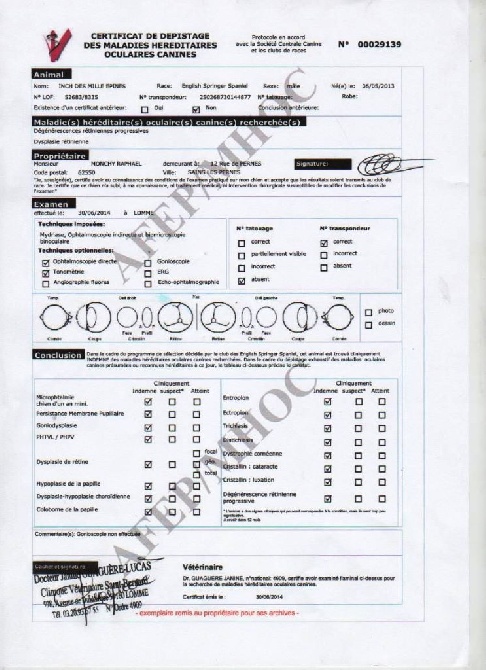 du clos Picavet - Inch exempt de maladies oculaires