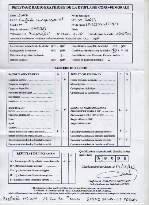 du clos Picavet - INCH , DYSPLASIE A/A