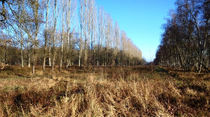 du clos Picavet - le 17 Janvier Finale des rencontres Saint Hubert