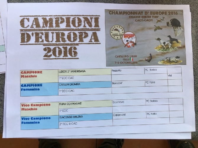 de la Sauvignere - championnat d europe gibié tiré