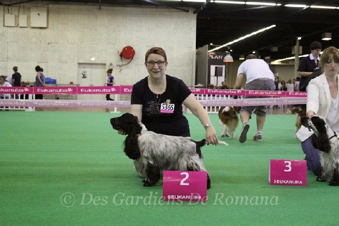 de la Belle Andrine - CHAMPIONNAT DE FRANCE 2014 ANGERS