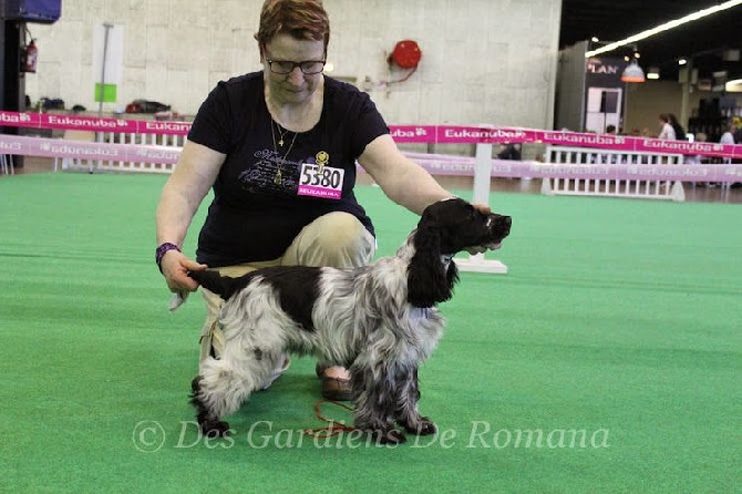 de la Belle Andrine - CHAMPIONNAT DE FRANCE 2014 - ANGERS