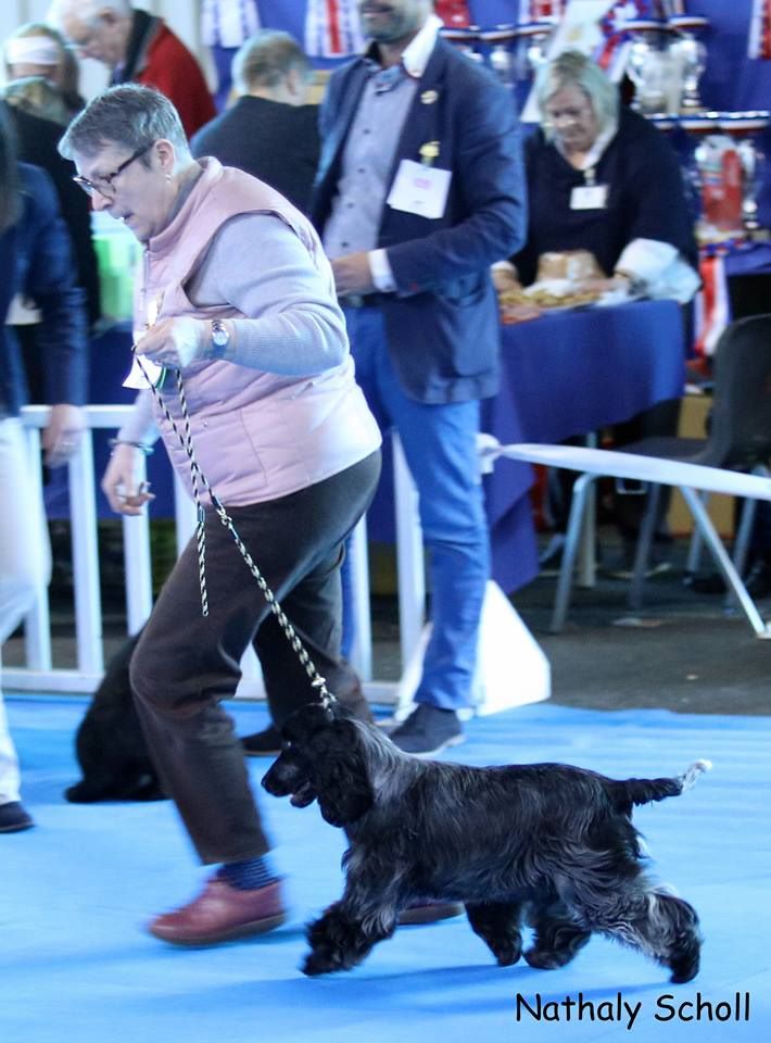 de la Belle Andrine - EXOSITION NATIONALE D'ELEVAGE 2018