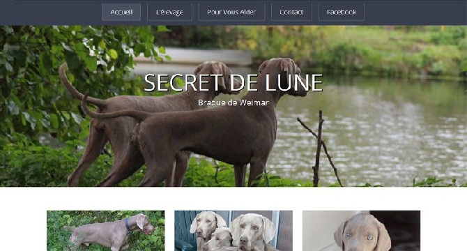 Secret de Lune - Site relooké !