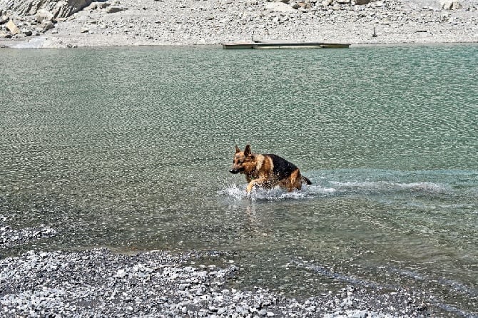 du Lac d'Annecy - Des nouvelles de Garry du lac d'Annecy , 