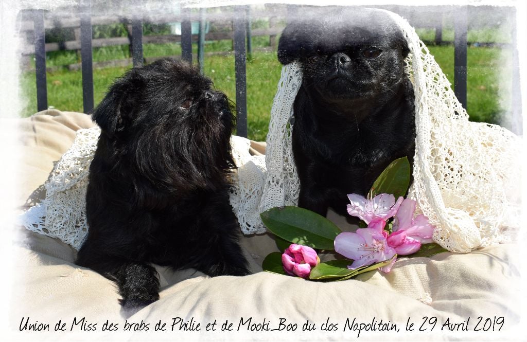 du Clos Napolitain - Mariage Miss et Mooki-Boo 