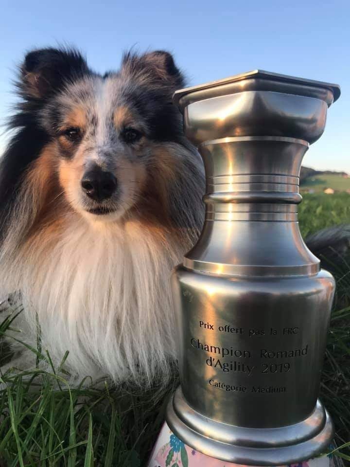 des Diablotins de Nooch - Championnat Romand d'Agility (Suisse)