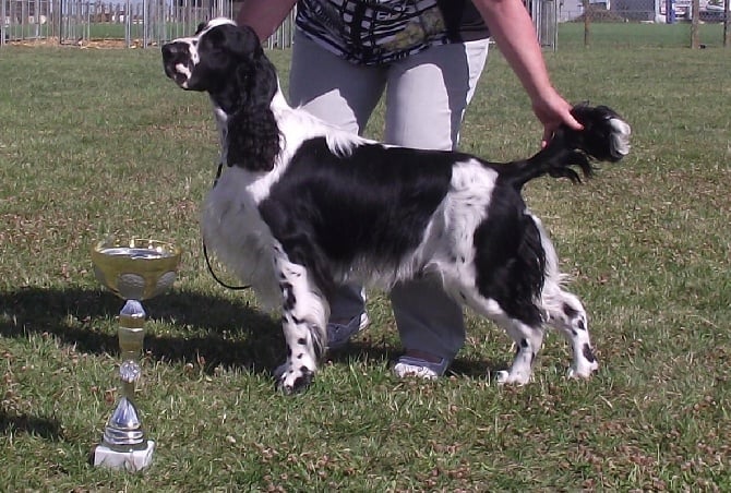 De la prieutiere - SAINT JEAN D'ANGELY 2014